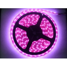 Kingunion Lighting High Quality Low Voltage RGB Magic SMD 3528 LED Flexible Strip Light Series CE